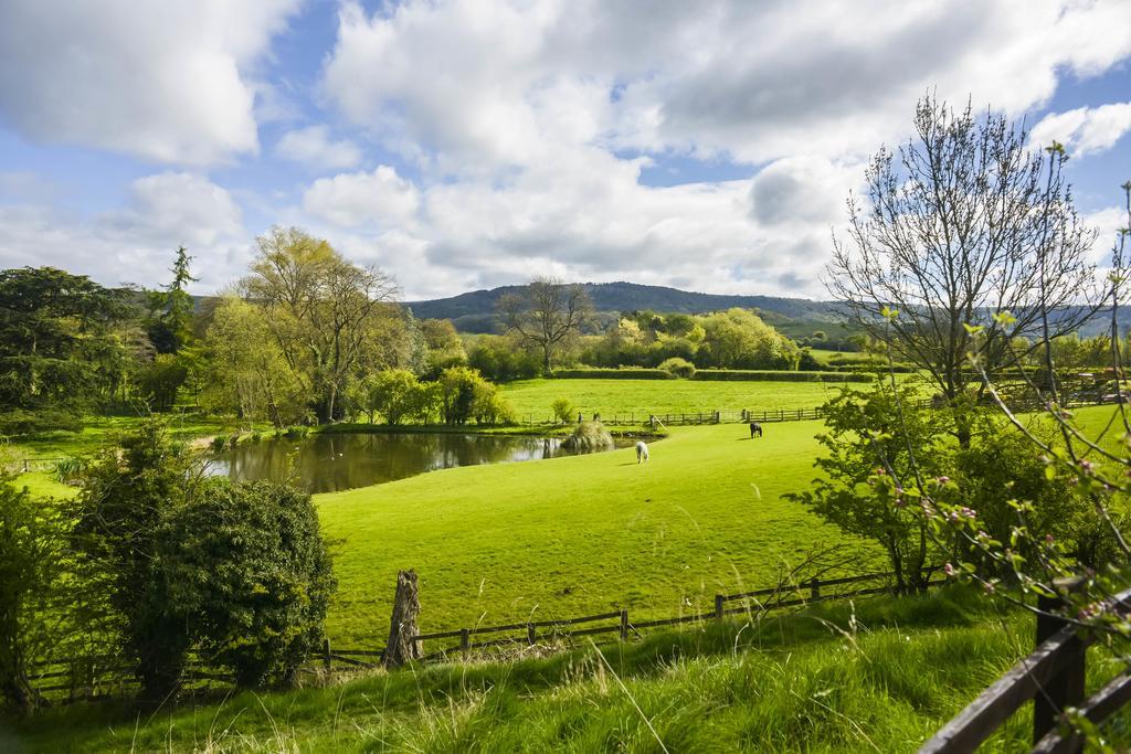 The Whitestonecliffe Inn Sutton  Bagian luar foto